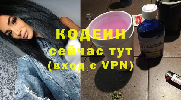 гашик Аркадак
