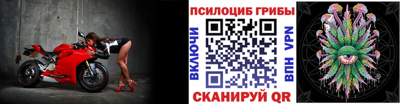 Галлюциногенные грибы Psilocybine cubensis  KRAKEN ТОР  Щёлкино 
