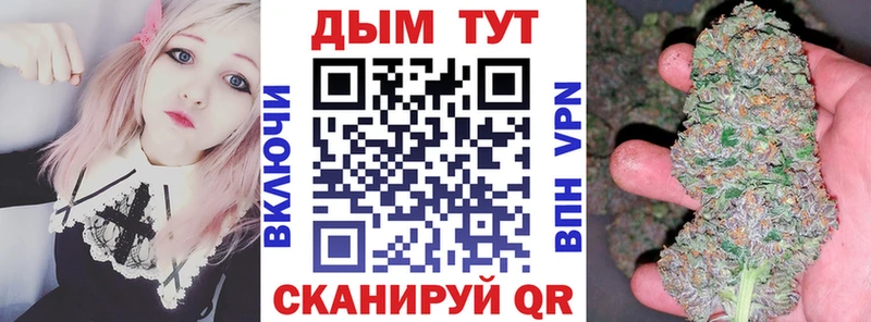Конопля MAZAR  Щёлкино 